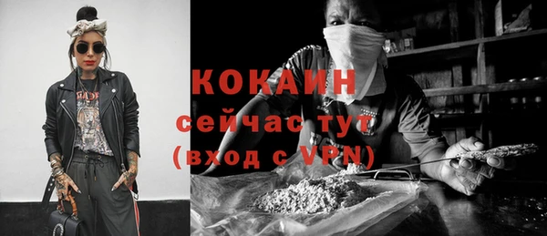 крисы Магадан