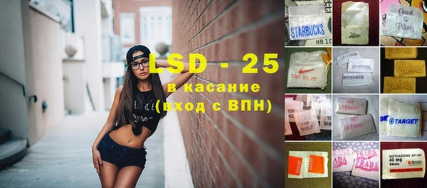 крисы Магадан