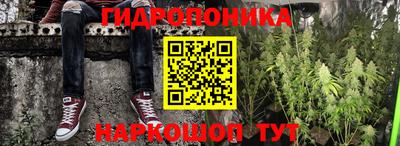 стафф Краснокаменск